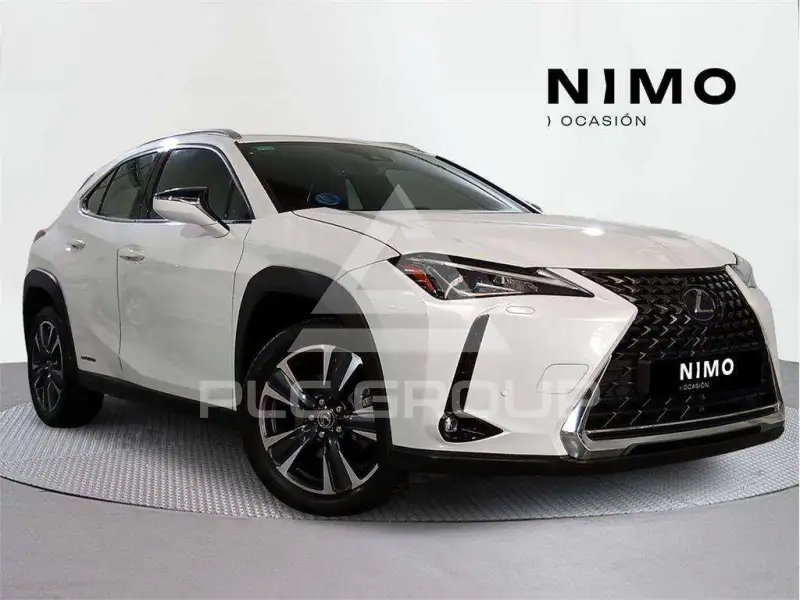 2021 Lexus UX250