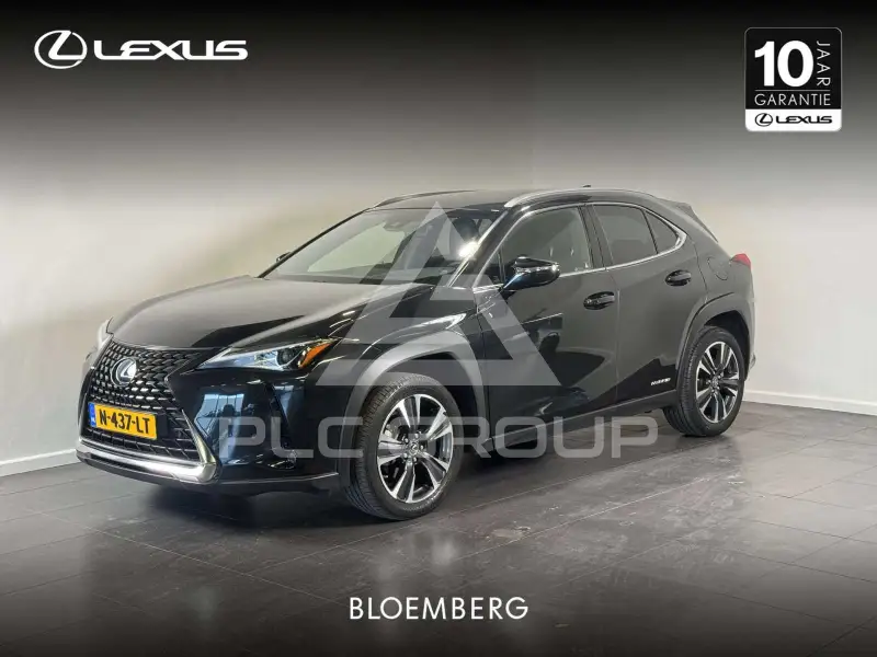 2021 Lexus UX250