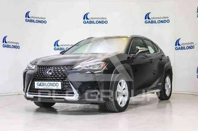 2021 Lexus UX250
