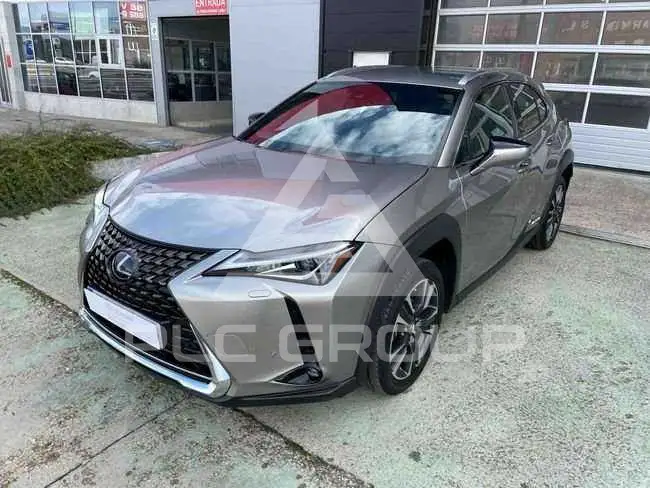 2021 Lexus UX250