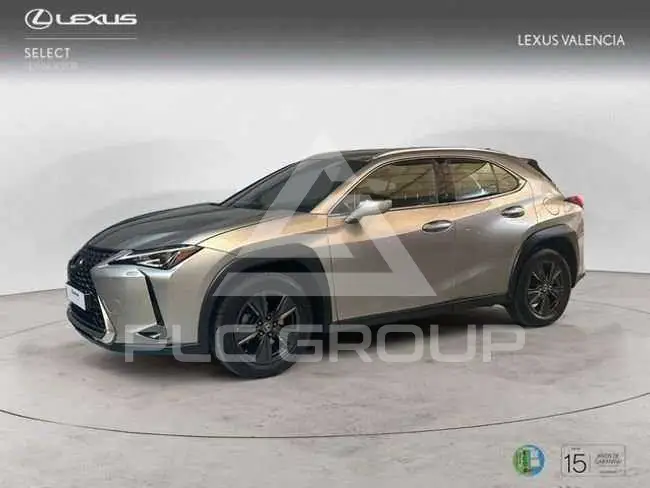 2021 Lexus UX250