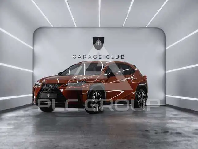 2021 Lexus UX250