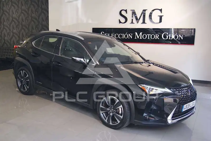 2021 Lexus UX250