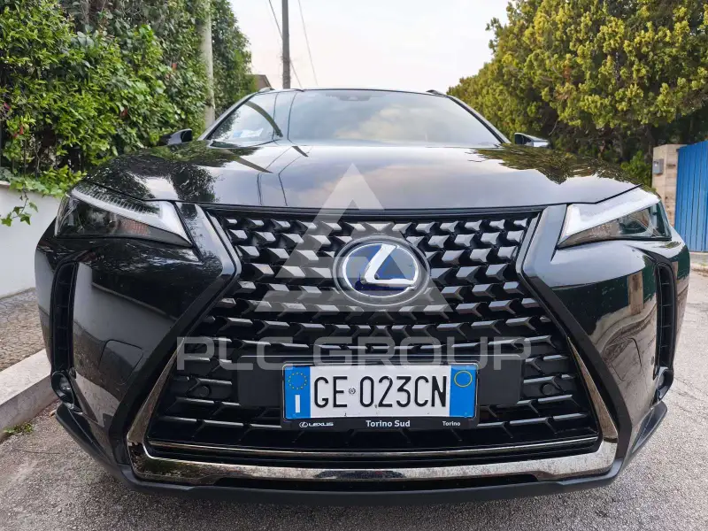 2021 Lexus UX250