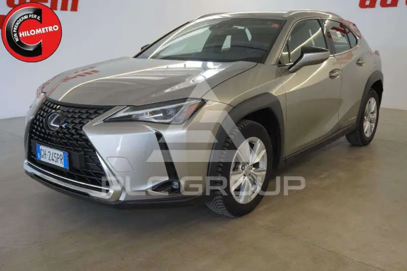 2021 Lexus UX250