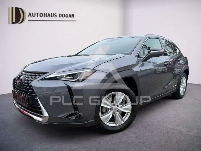 2021 Lexus UX250