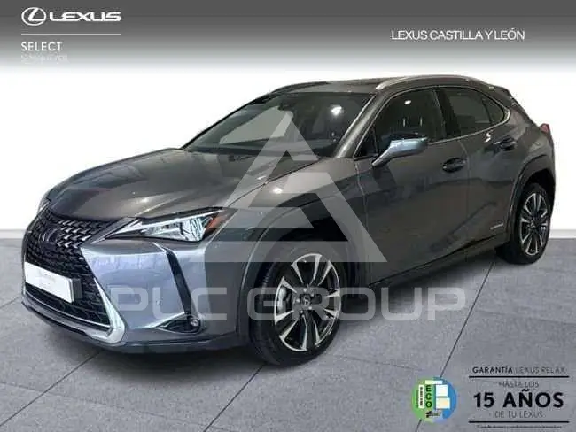 2021 Lexus UX250