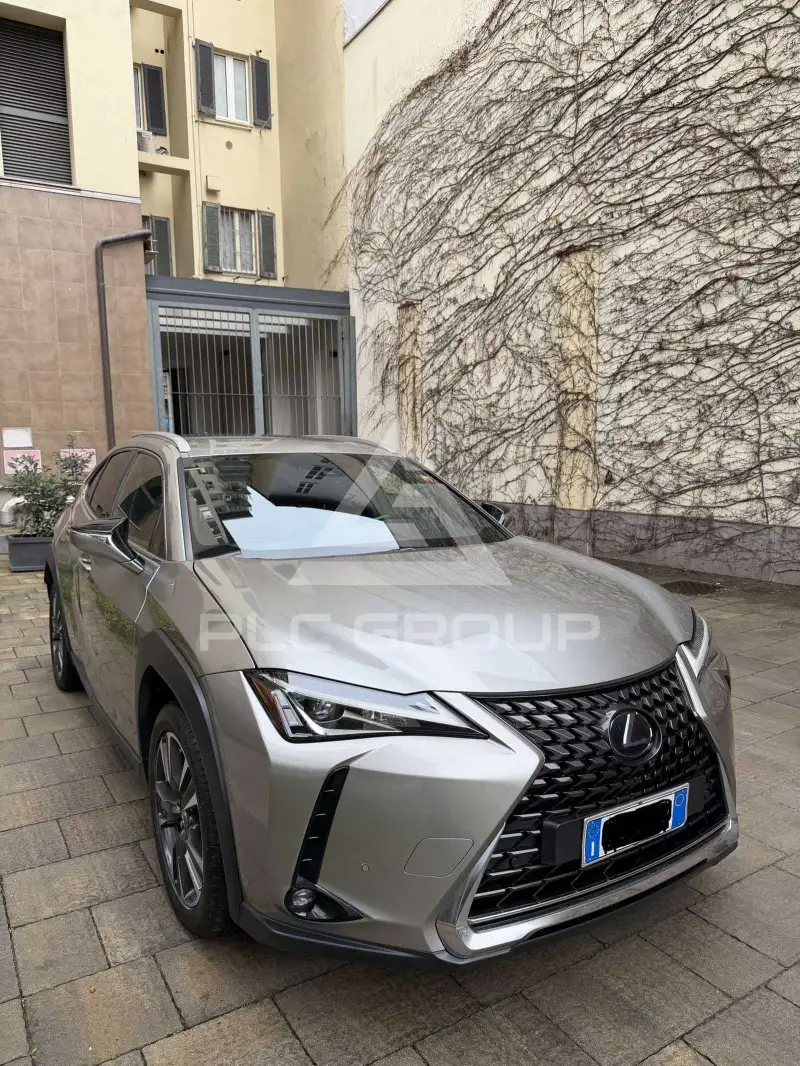 2021 Lexus UX250