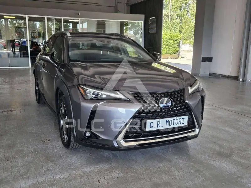 2021 Lexus UX250