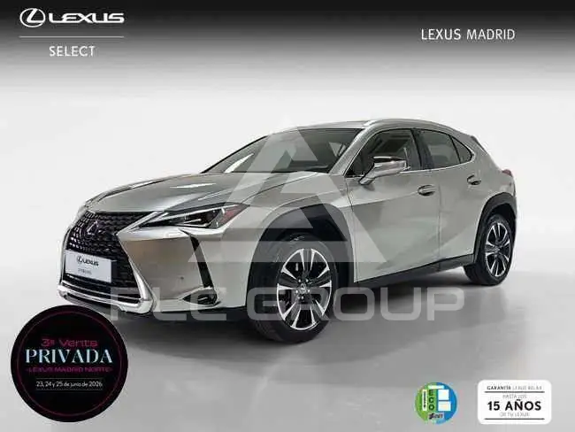 2021 Lexus UX250