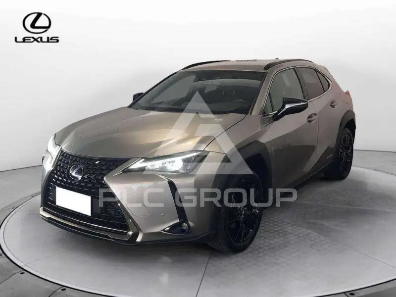 2021 Lexus UX250
