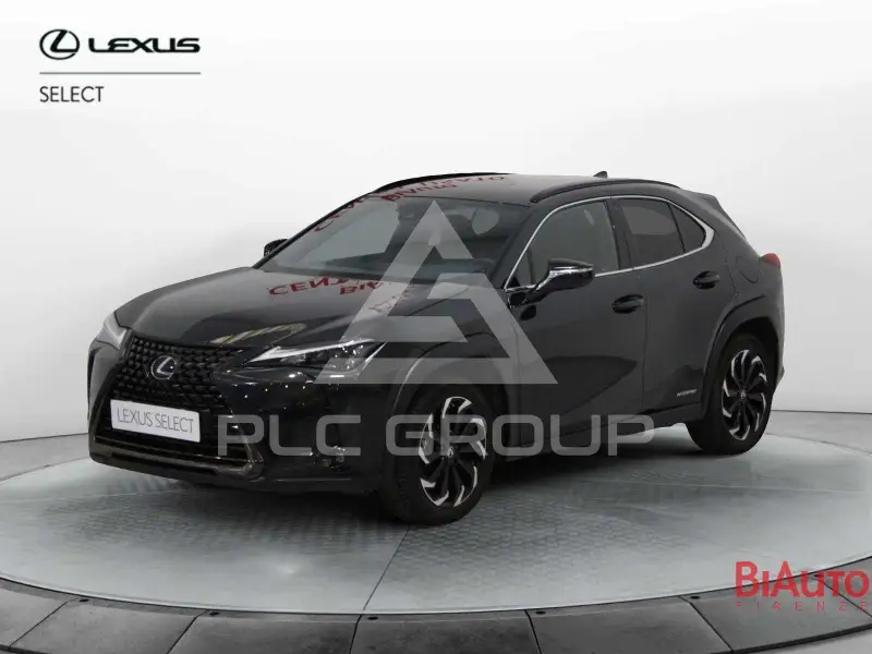 2021 Lexus UX250