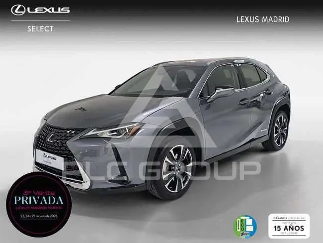 2021 Lexus UX250