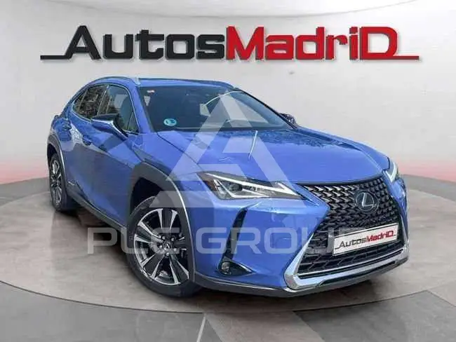 2021 Lexus UX250