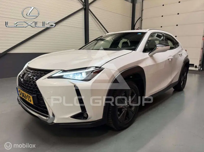 2021 Lexus UX250