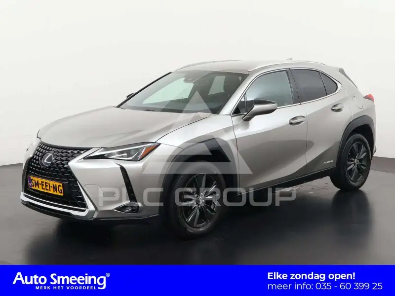 2021 Lexus UX250