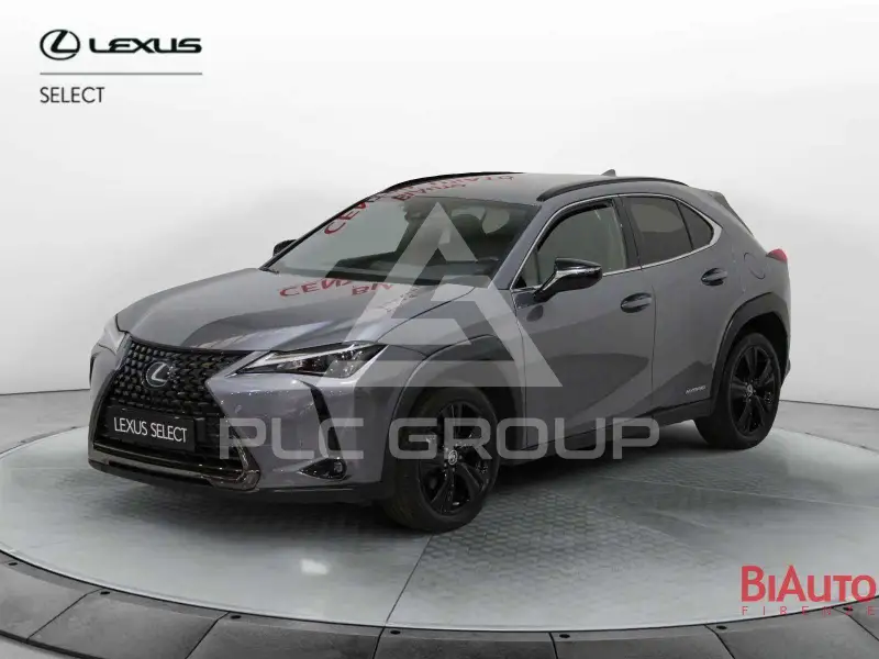 2021 Lexus UX250