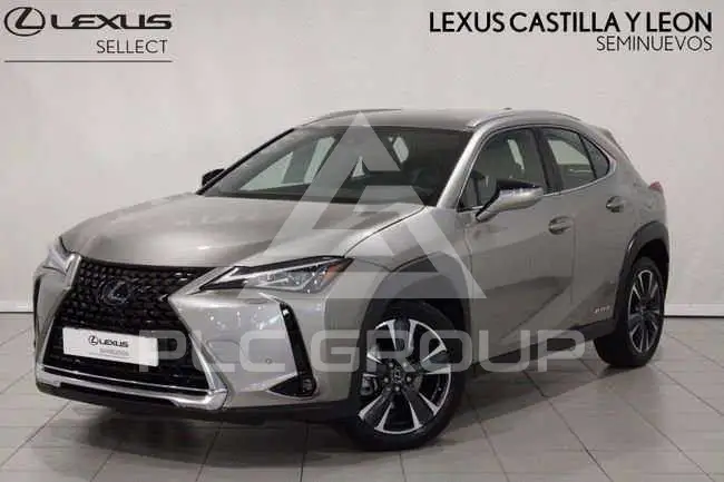 2021 Lexus UX250