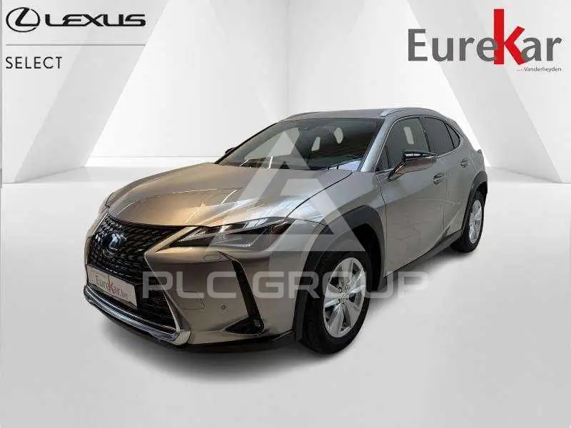2021 Lexus UX250