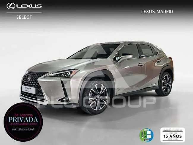 2021 Lexus UX250