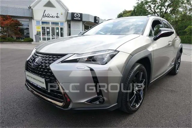 2021 Lexus UX250