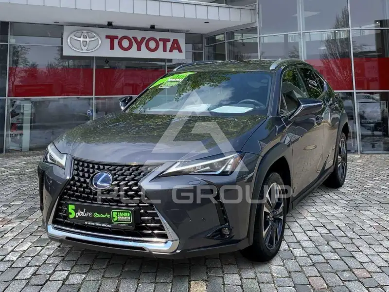 2021 Lexus UX250