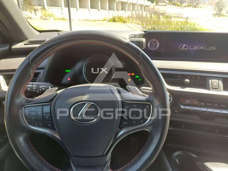 2021 Lexus UX250