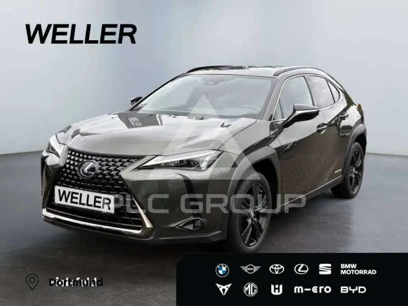 2021 Lexus UX250