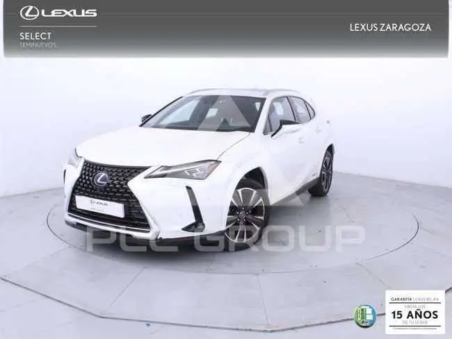 2021 Lexus UX250