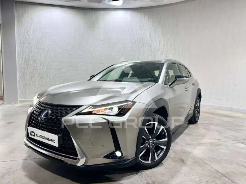 2021 Lexus UX250