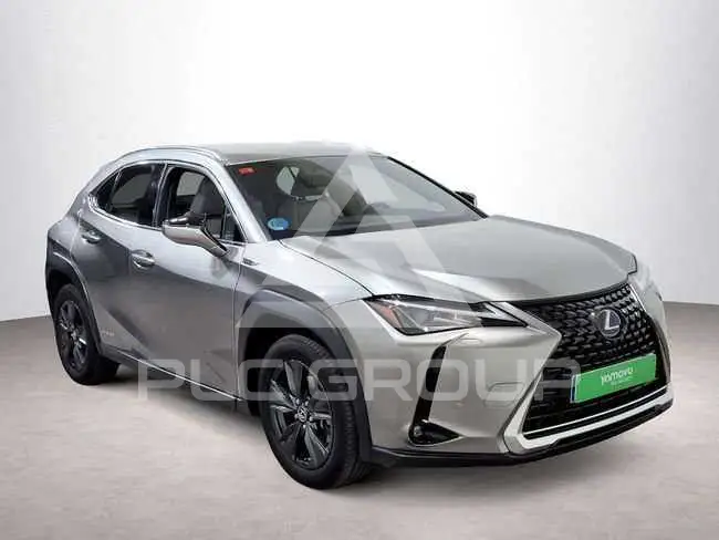 2021 Lexus UX250