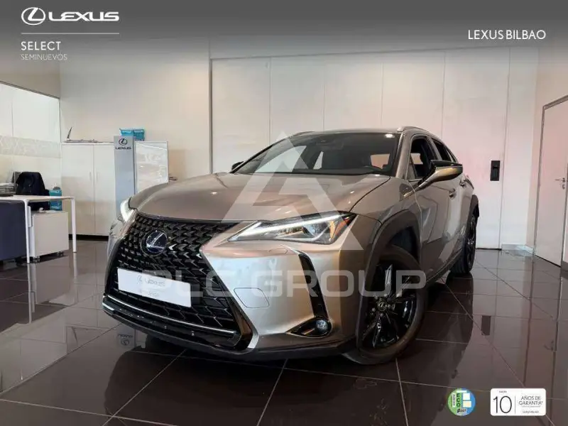 2021 Lexus UX250