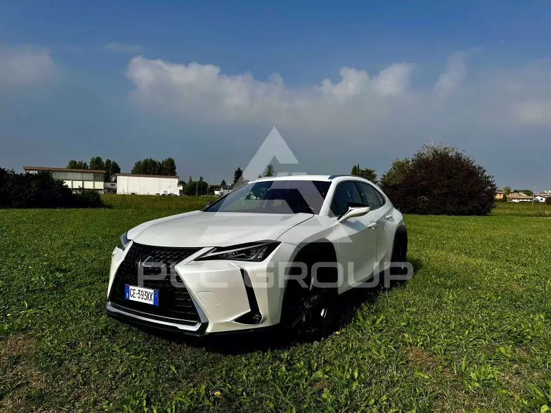 2021 Lexus UX250