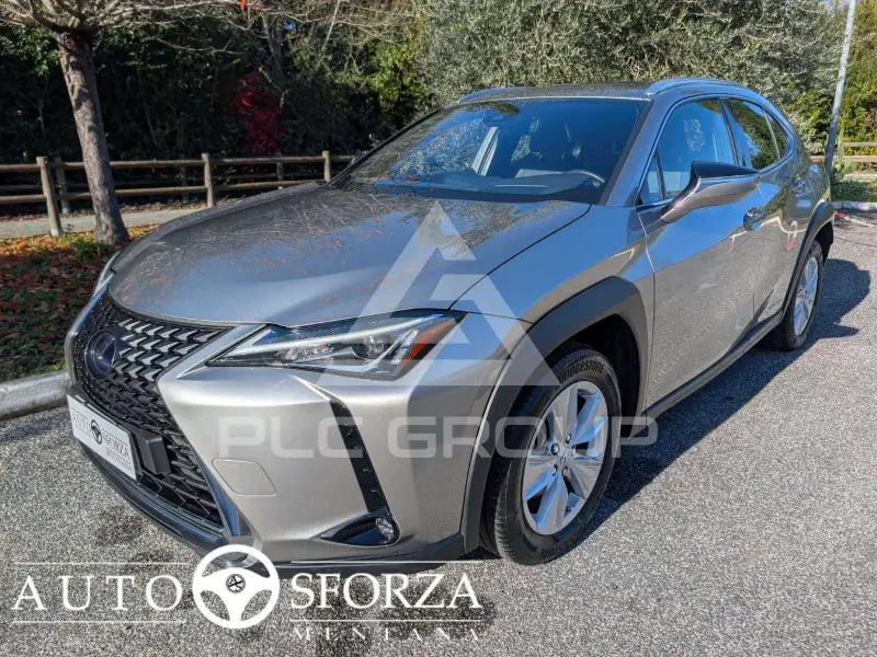 2021 Lexus UX250