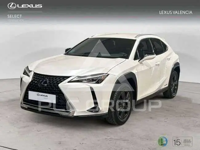 2021 Lexus UX250