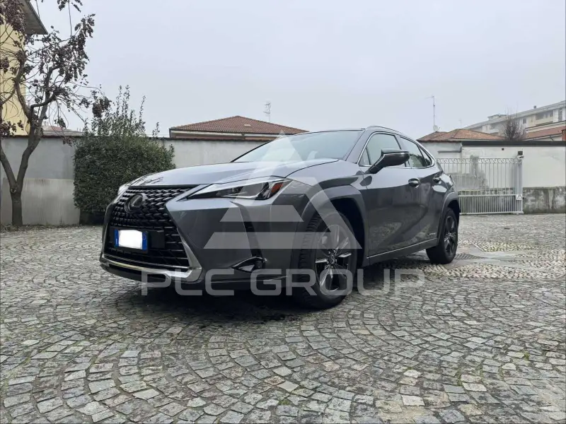 2021 Lexus UX250