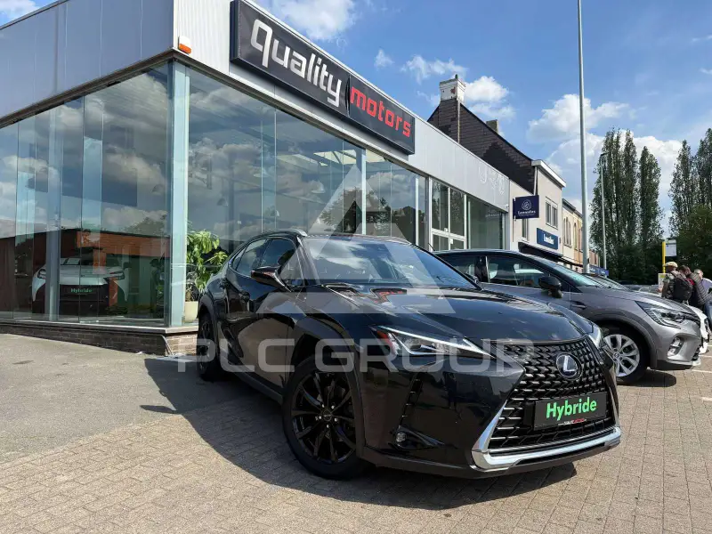 2021 Lexus UX250