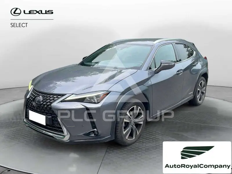 2021 Lexus UX250