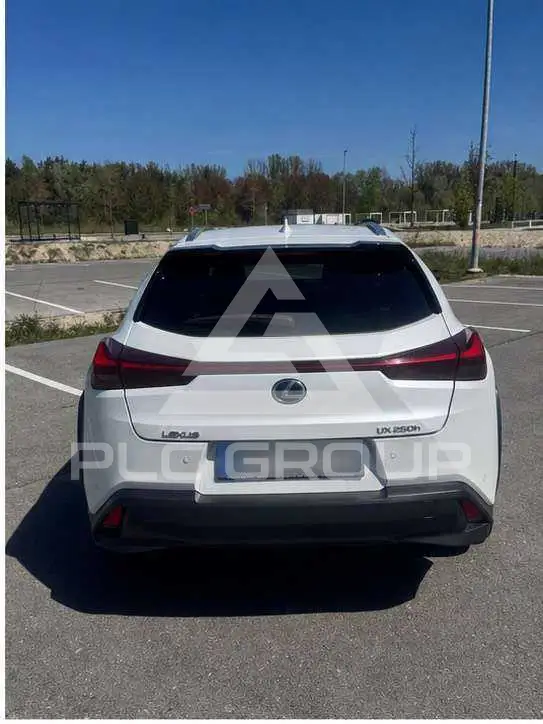2021 Lexus UX250