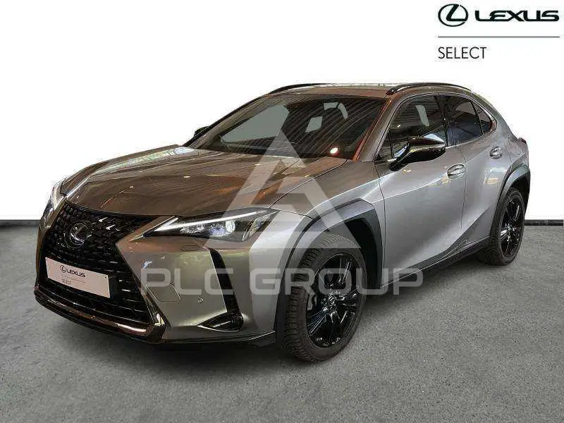 2021 Lexus UX250