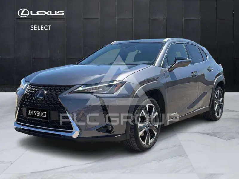 2021 Lexus UX250