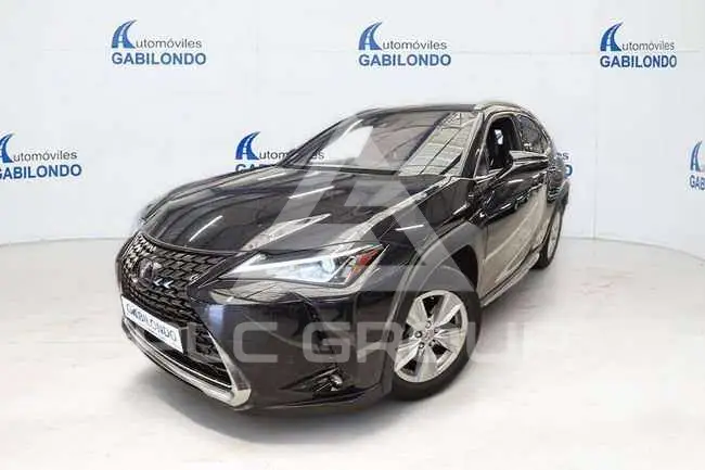 2021 Lexus UX250