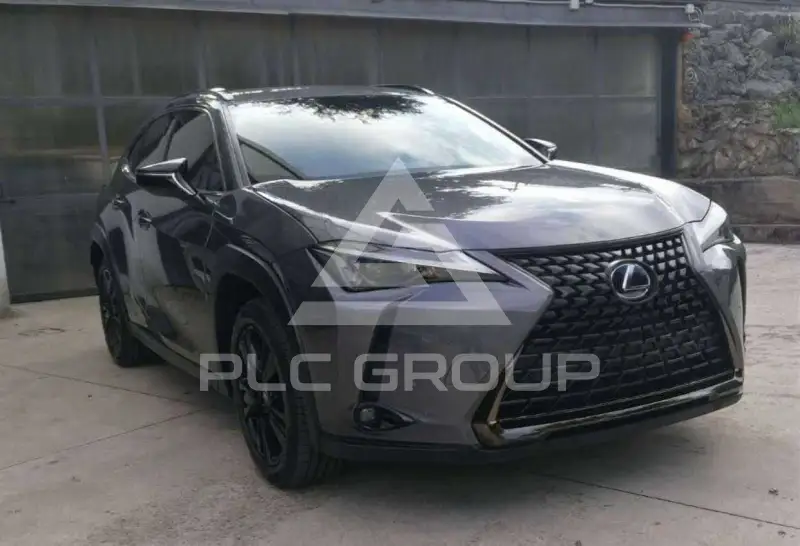 2021 Lexus UX200