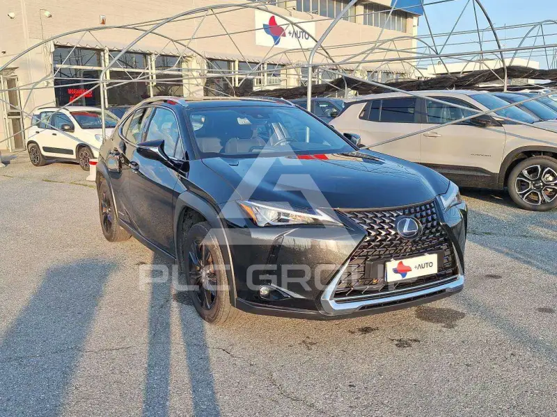 2021 Lexus UX250