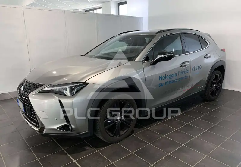 2021 Lexus UX250