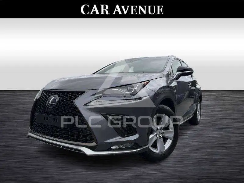 2021 Lexus NX300