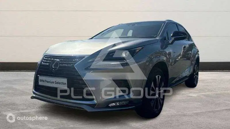 2021 Lexus NX300