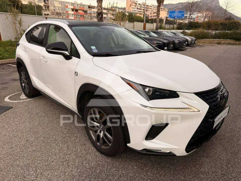2021 Lexus NX300