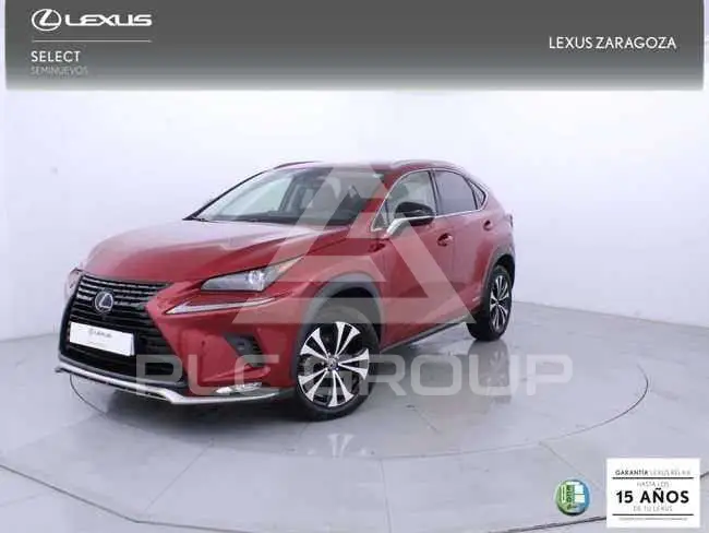 2021 Lexus NX300