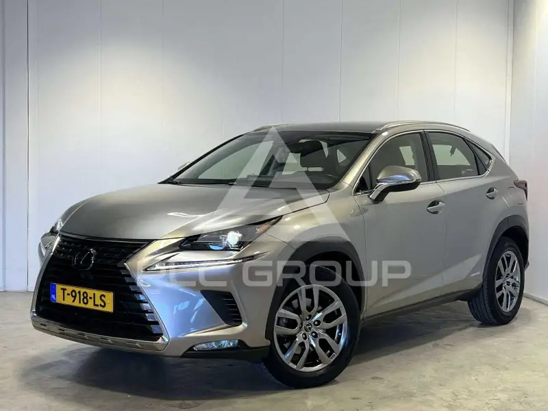 2021 Lexus NX300